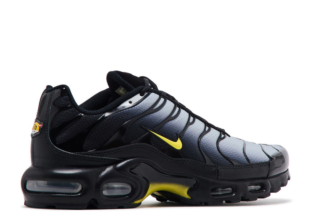 Air Max Plus TN - T726418